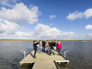 Langwarder_Groden_Fuehrung_Nordsee_Butjadingen_Langwarden.jpg
