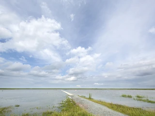 Langwarder_Groden_Weg_Nordsee_Butjadingen_Langwarden.jpg