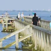 Wattensteg_Nordsee_Butjadingen_Burhave.jpg