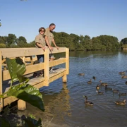 Puetten_Enten_Nordsee_Butjadingen_Tossens.jpg