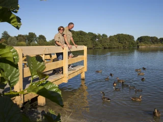 Puetten_Enten_Nordsee_Butjadingen_Tossens.jpg