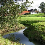 Goldbach in het forellendal Hagen a.T.W.