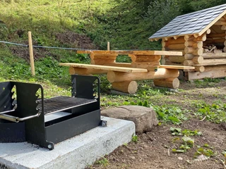 Barbecue, ensemble de sièges et cabane en rondins