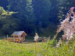 Feuerstelle GrimmiJutz Posten 4