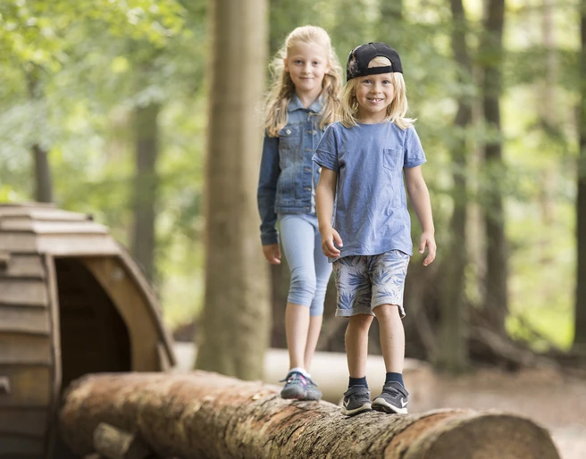 Löwepfad im Lechlumer Holz