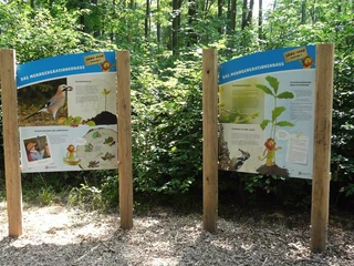 Löwepfad im Lechlumer Holz
