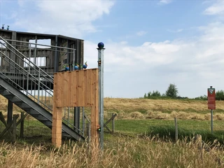 Vogelgenossen am Lieblingsplatz Aperberg Ein Holzdeck mit einer Treppe ragt in die Höhe, verziert mit bunten Figuren. Im Hintergrund erstreckt sich eine grüne Wiese unter blauem Himmel.