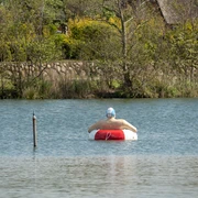 Schwimmer im Dorfteich