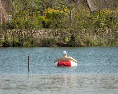 Schwimmer im Dorfteich