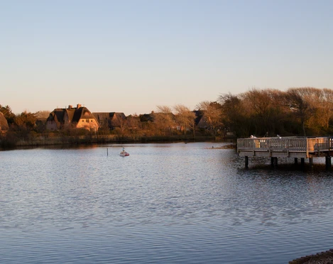 Schwimmer im Dorfteich