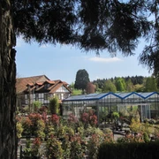 Verkaufsareal und Gewächshaus