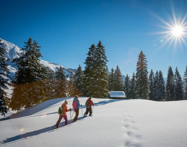 habkern-lombachalp-winter-schneeschuhlaufen-wald-h-ttli-soft-adventure