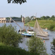 Drakenburg Aalschokker Ein historischer Aalschokker auf der Weser bei Drakenburg, umrahmt von grüner Uferlandschaft.