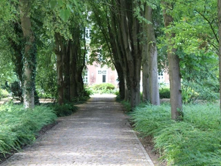 Amtshof 2 Bruchhausen-Vilsen Eine von Bäumen gesäumte Allee führt zu einem historischen Gebäude im Hintergrund, umgeben von Natur.