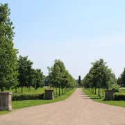Baumpark Thedinghausen Ein weitläufiger, von Bäumen gesäumter Parkweg führt durch eine grüne Parklandschaft unter blauem Himmel.