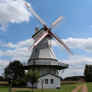 Behlmer Hochzeitsmühle Eine historische Windmühle mit roten Flügeln vor blauem Himmel und eine ländliche Umgebung.