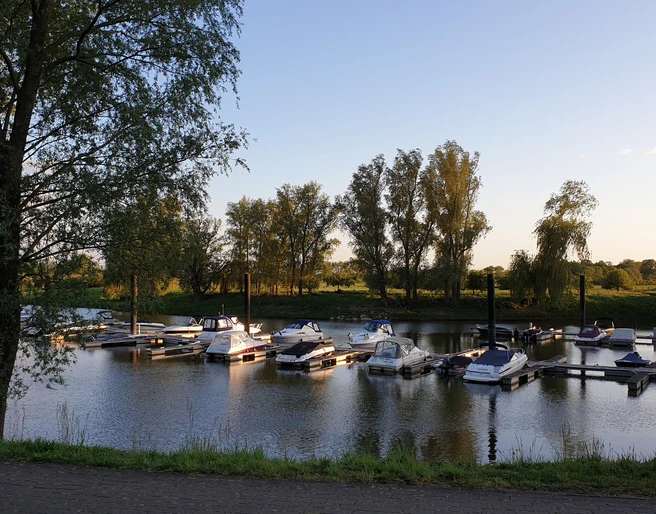 Uesener Bootshafen Boote liegen in einem ruhigen Hafenbecken am Ufer, umgeben von Bäumen in der Abendsonne.