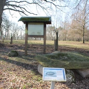 Düsselburg Eine Informationstafel und mehrere große Steine stehen in einem lichten Wald voller Herbstblätter.