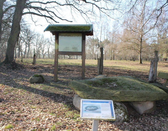 Düsselburg Eine Informationstafel und mehrere große Steine stehen in einem lichten Wald voller Herbstblätter.