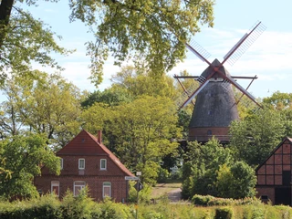 Mühle Margarethe Eystrup Historische Windmühle Margarethe in Eystrup, umgeben von altem Fachwerk und üppigem Grün.