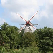 Mühle Margarethe Eystrup Mühle Margarethe in Eystrup, umgeben von Bäumen, mit markanten roten Flügeln vor blauem Himmel.