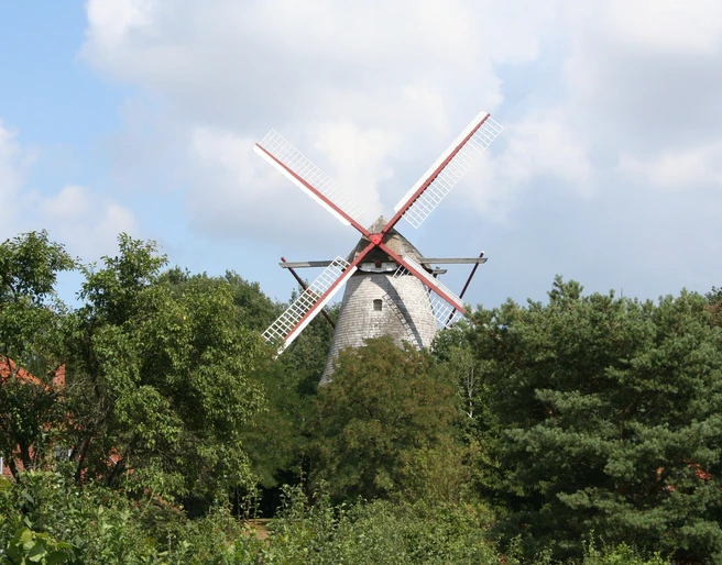 Mühle Margarethe Eystrup Mühle Margarethe in Eystrup, umgeben von Bäumen, mit markanten roten Flügeln vor blauem Himmel.