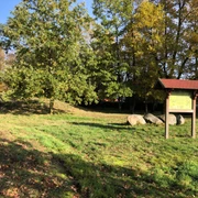 Grabhügelfeld in Nienburg Gräser umrahmen Informationstafel und große Steine, Bäume im Hintergrund beschatten das Grabhügelfeld.