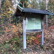 Hügelgräber Eine Informationstafel steht am Waldrand, umgeben von buntem Herbstlaub und hohen Bäumen.