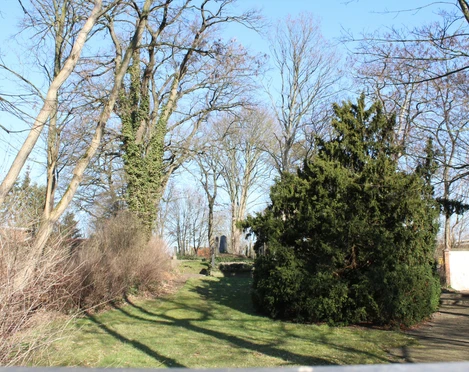 Jüdischer Friedhof Grüne Bäume und Sträucher umgeben Grabsteine auf einem ruhigen, friedlichen jüdischen Friedhof.