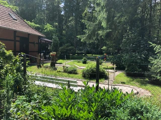 Kurpark Minigolf Minigolfplatz im Grünen, umgeben von hohen Bäumen und gepflegter Vegetation, mit Schrittsteinen.