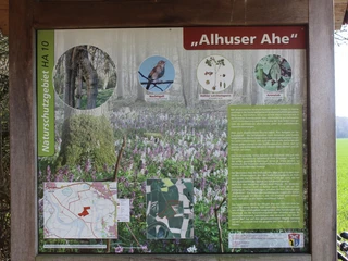 Alhuser Ahe Infotafel Infotafel des Naturschutzgebiets Alhuser Ahe mit Informationen zu Flora und Fauna, inklusive Karten.
