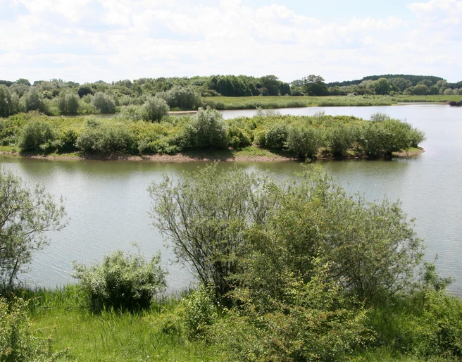 Naturbelassene Wasserlandschaft mit dicht bewachsenen Ufern, umgeben von üppigem Grün.