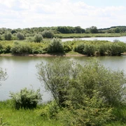 Liebenauer Gruben Naturbelassene Wasserlandschaft mit dicht bewachsenen Ufern, umgeben von üppigem Grün.