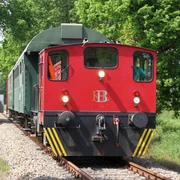 Pingelheini, ein historischer Zug mit roter Lokomotive, fährt durch grüne, bewaldete Landschaften.