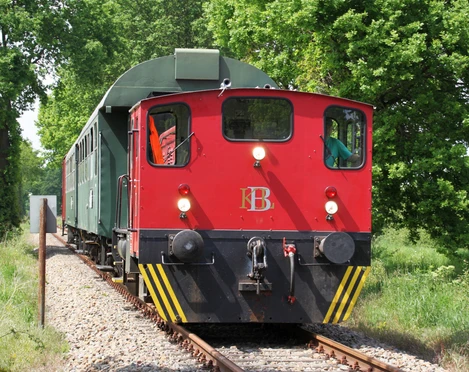 Pingelheini Pingelheini, ein historischer Zug mit roter Lokomotive, fährt durch grüne, bewaldete Landschaften.