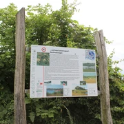 Naturlehrpfad Im Röden Stolzenau Informationsschild über den Naturlehrpfad Im Röden Stolzenau zwischen zwei Holzpfosten vor grüner Vegetation.
