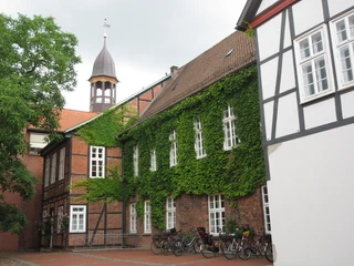 Rathaus Rückansicht Eine Backsteinfassade mit grünem Efeubewuchs, weiß gestrichenen Fenstern und einem Kirchturm im Hintergrund.