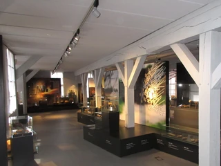 Ausstellung Museum Nienburg In einem modernen Ausstellungsraum im Museum Nienburg sind archäologische Funde stilvoll präsentiert.