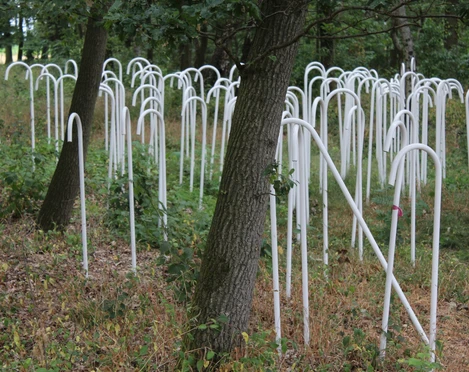 Skulptur "Einhundertneununddreißig" Weiße Metallrohre formen eine eindrucksvolle Waldinstallation, die sich geheimnisvoll durch Bäume schlängelt.