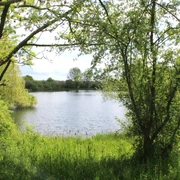 Grün umrahmter See im Sonnenschein, umgeben von üppiger Vegetation und friedlicher Atmosphäre.
