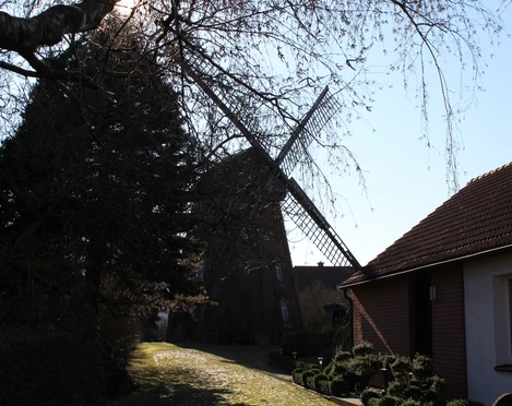 Windmühle im Nienburger Leintor Backsteinerne Windmühle mit Flügeln, umgeben von Bäumen und einem benachbarten Wohnhaus.