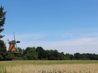 Windmühle Westen Eine historische Windmühle in grüner Landschaft, umgeben von Bäumen und einem Weizenfeld unter blauem Himmel.