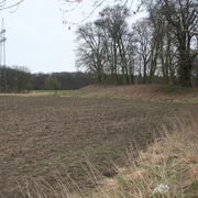 Burghügel Wölper Burg Weitläufiges, leicht erhöhtes Gelände mit Bäumen, Ruinen und einem angrenzenden Feld in Wölpinghausen.