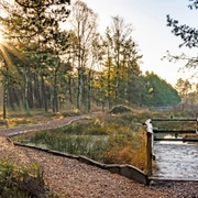 Moorerlebniszone im Großen und Weißen Moor Moorerlebniszone im Großen und Weißen Moor