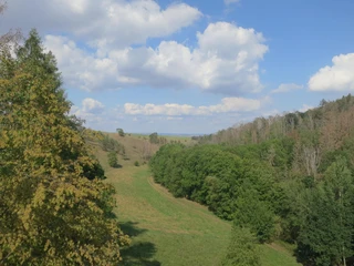 Hängeseilbrücke Hohe Schrecke Blick ins Bärental