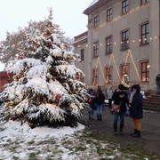 Schlossweihnacht Brandis Schlossweihnacht Brandis mit Schneebedeckten Tannenbaum