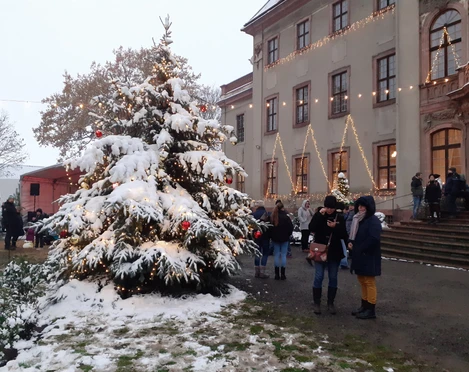 Schlossweihnacht Brandis Schlossweihnacht Brandis mit Schneebedeckten Tannenbaum