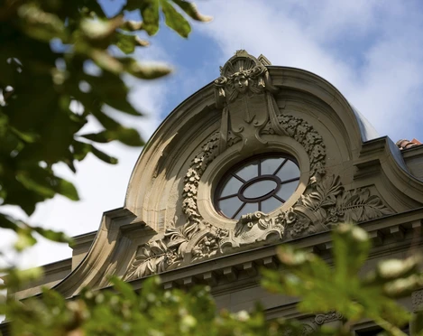 Detailaufnahme Detailaufnahme