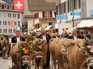 Entlebucher Alpabfahrt