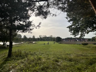 Golf Park Steinhuder Meer Grüner Golfplatz am Steinhuder Meer, umgeben von Bäumen und ruhiger Natur mit Blick auf Häuser.